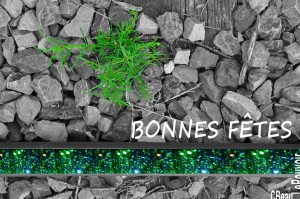 Bonnes Fêtes