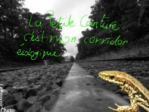 Corridor Lézard